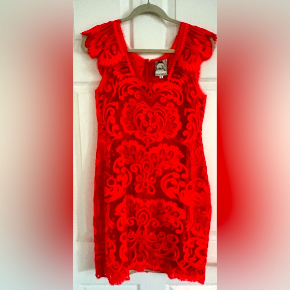 Yoana Baraschi sheer red stitched dress over tan lining